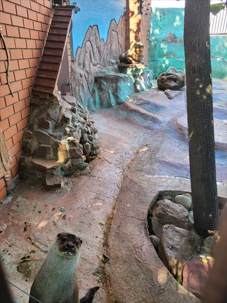 Отпуск_2022 (305)